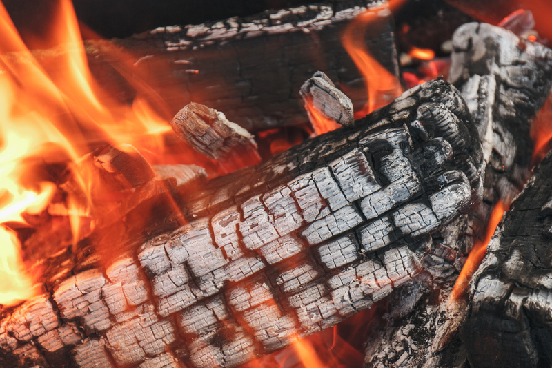 Pravěké parfémy: Jak voněl svět našich předků?